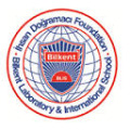 Bilkent Laboratory and International School