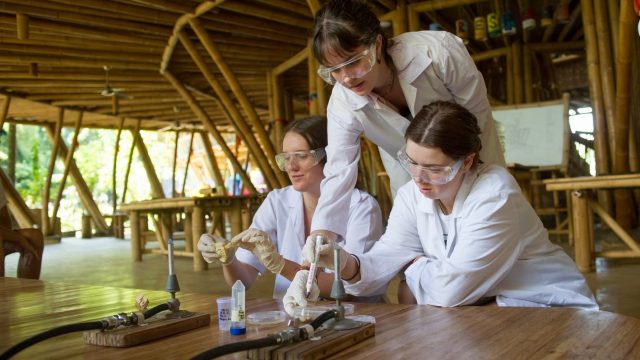 Femail students conducting experiment