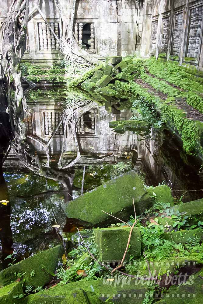 Reflections in Beng Mealea