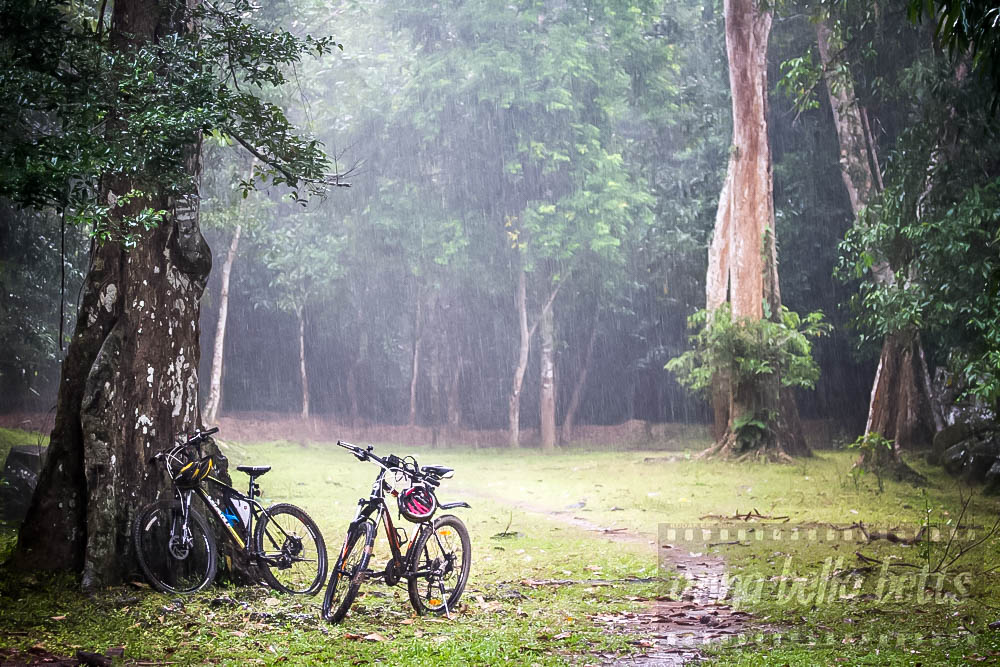 Rain falls heavily outside Preah Khan