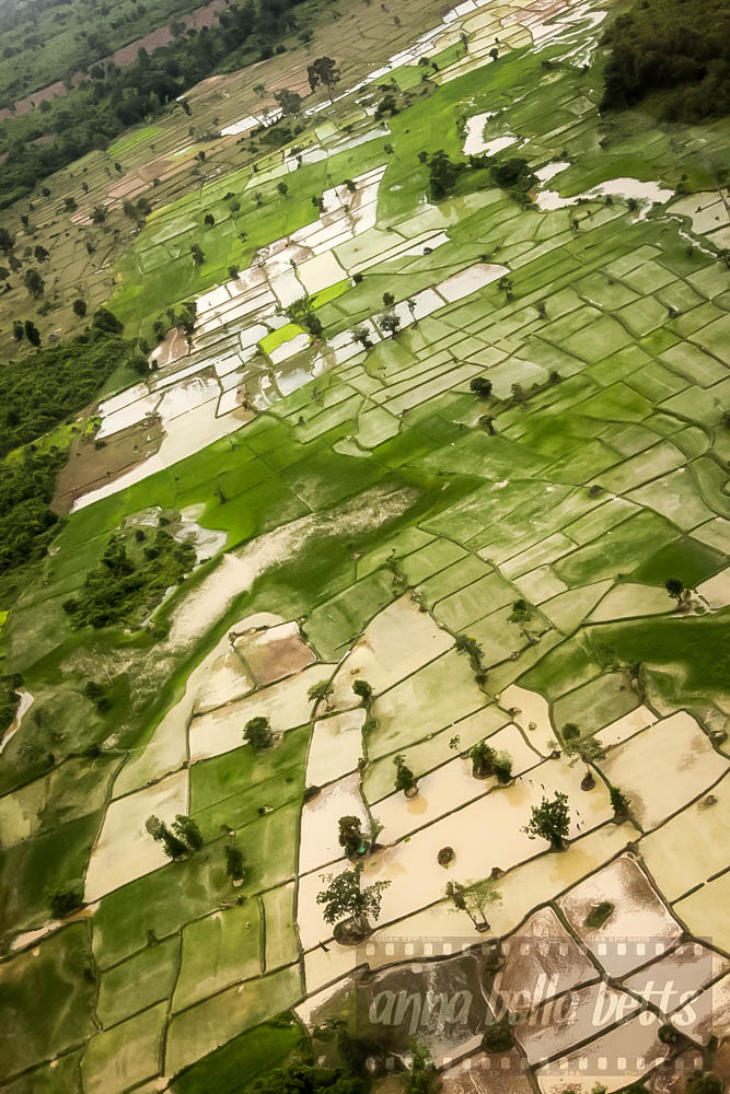 Green patchwork of rice fields as seen from helicopter