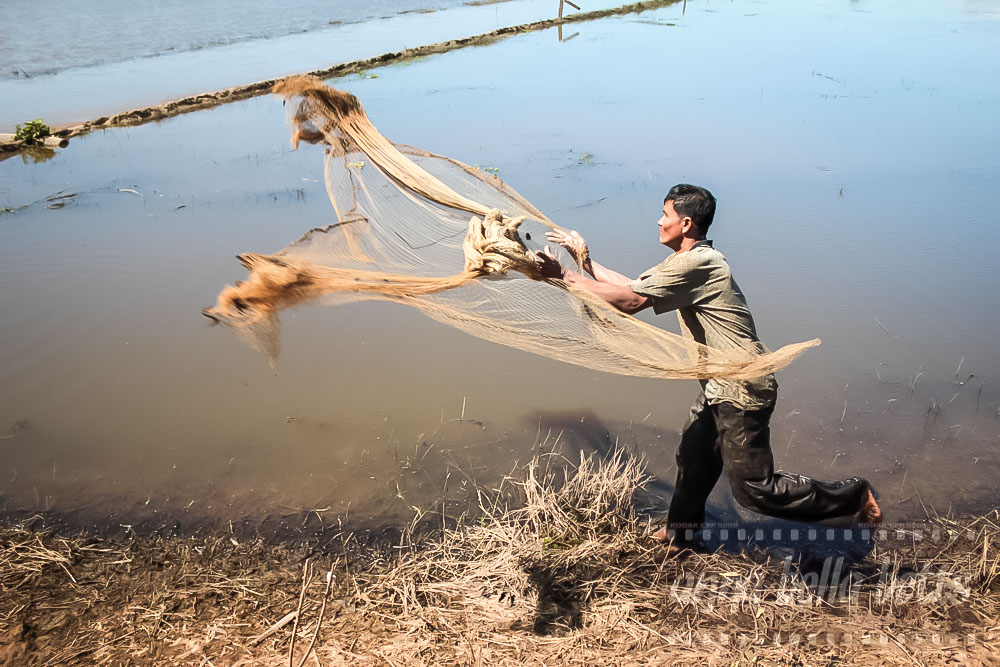 Fishing 