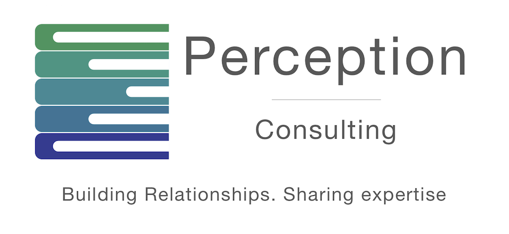 Perception Consulting