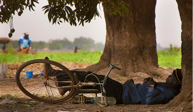 Siesta