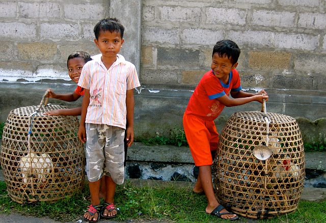 Local kids, a village in Bali