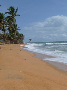 Colombo beach