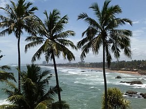 sri-lanka-coastline-and-trees