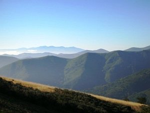 latest teaching jobs in central america