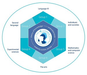 international-baccalaureate-subject-groups