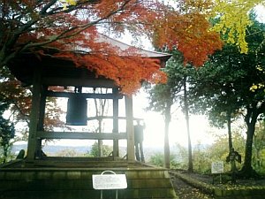 bell-among-trees