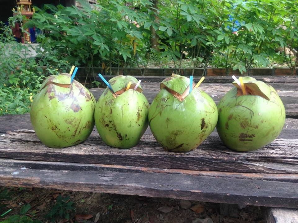 coconuts