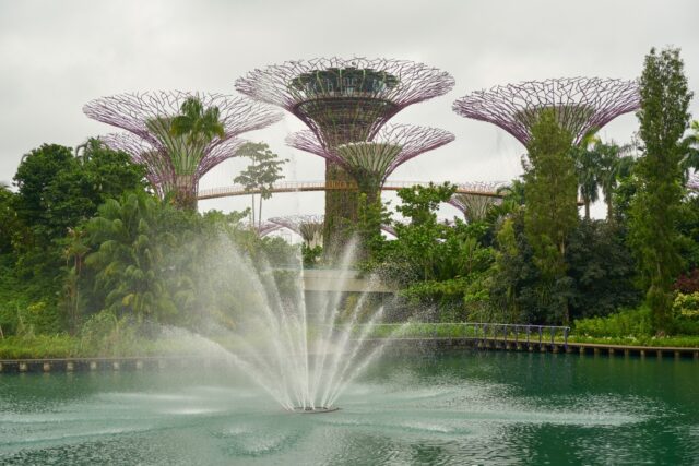 Futuristic garden with towering structures.