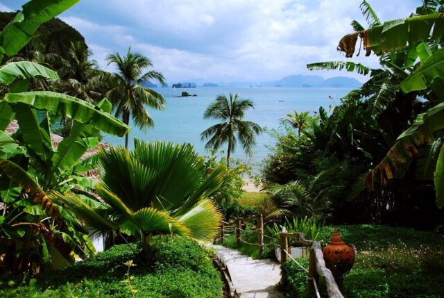 International school job in Thailand.