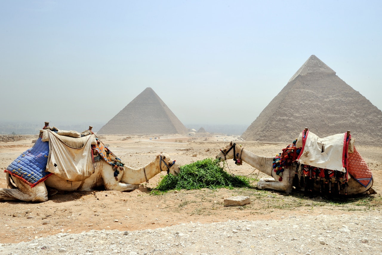 Why moving to Egypt by an international teacher?