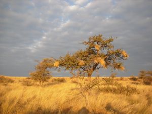 Latest teaching jobs in Malawi