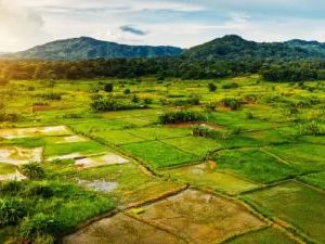 Latest teaching jobs in Malawi