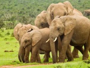 Latest teaching jobs in South Africa