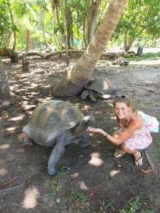 Teaching in the Seychelles