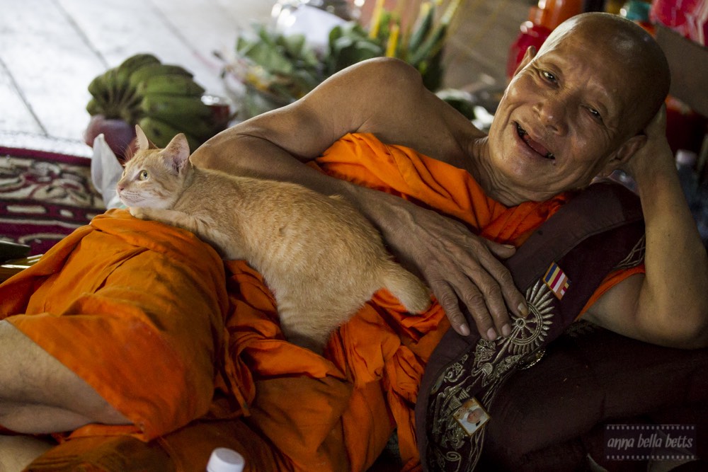 Head monk in Wat Atvea