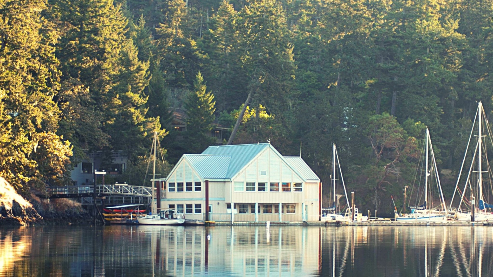 Teaching at international schools in Victoria City