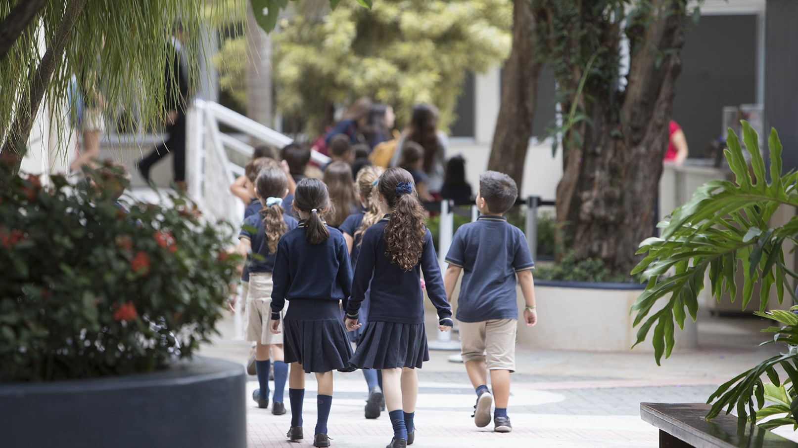 Teaching abroad in Sao Paulo City