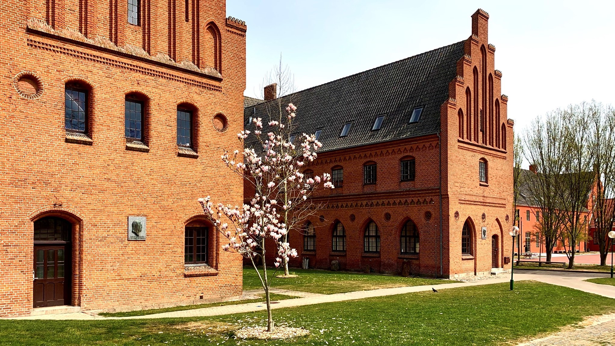 Teaching abroad in Denmark Country