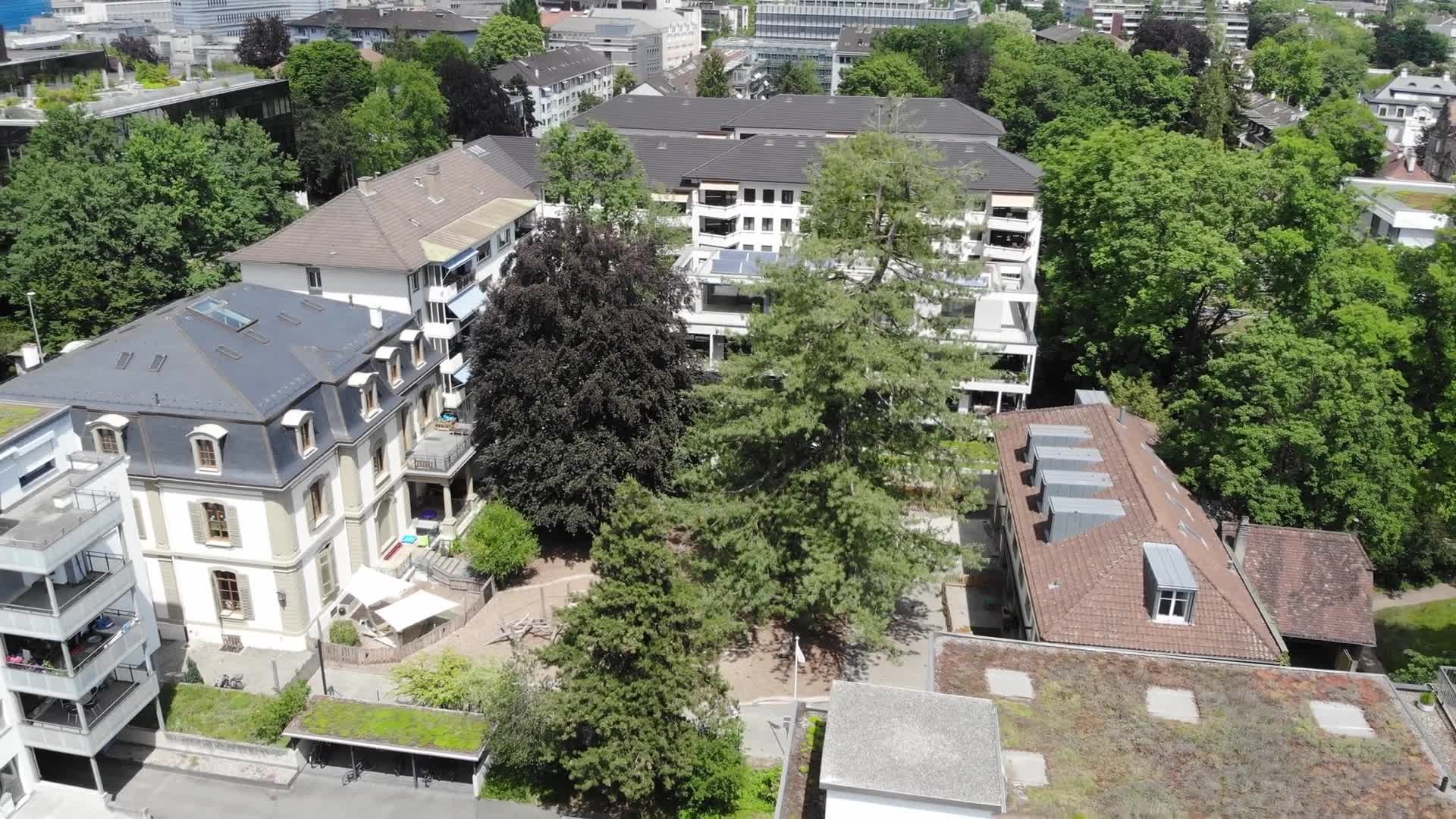 Teaching at international schools in Basel City